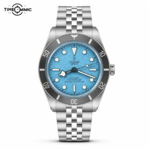 Tudor Black Bay M79000-0001 replica watch